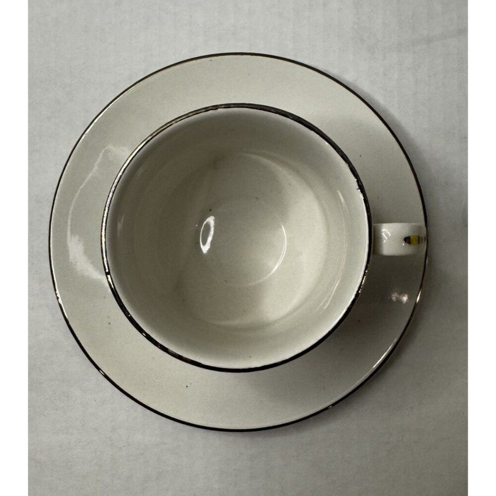 Vintage International Ironstone Salem China "Whimsey" Teacup And saucer